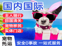 太原航空快递国际宠物托运 【国